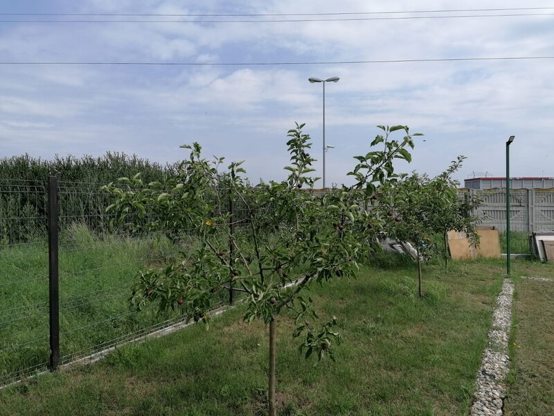 Tartasesti, Dambovita.