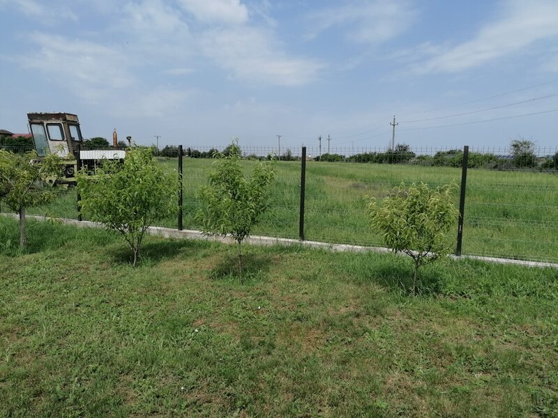 Tartasesti, Dambovita.