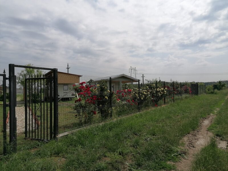 Tartasesti, Dambovita.