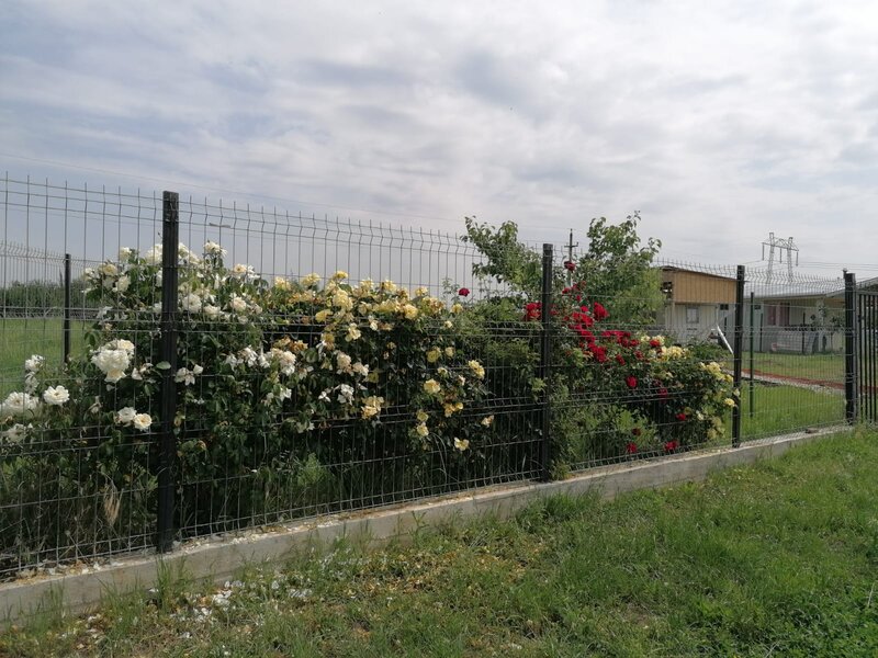 Tartasesti, Dambovita.